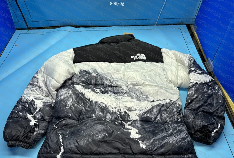 PUFFER THE NORTH FACE 2