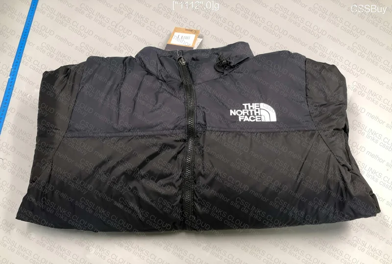 The North Face Puffer in Blue?