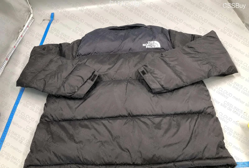 The North Face Puffer in Blue? 2