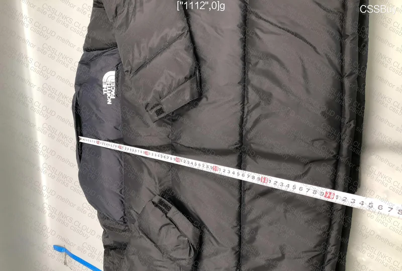 The North Face Puffer in Blue? 5