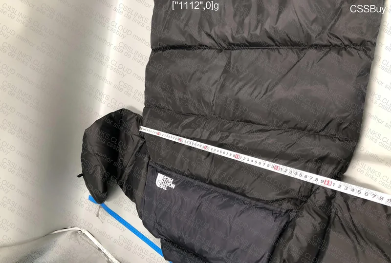 The North Face Puffer in Blue? 6