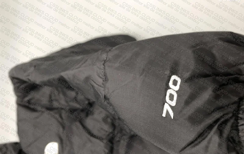 Puffer The North Face WWT 1:1 4