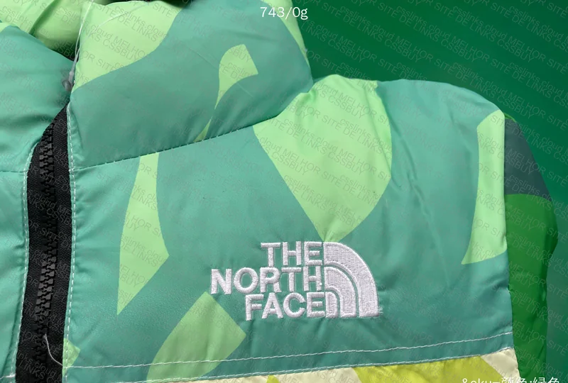 Puffer Tnf x Kaws 6