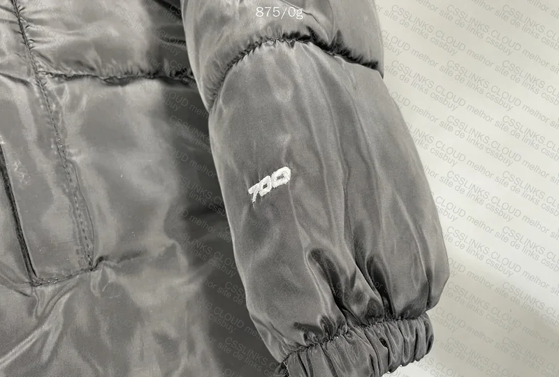 TNF Puffer/Jacket 2