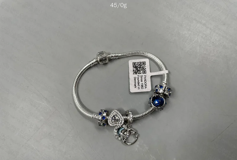 Pandora Charm Bracelet