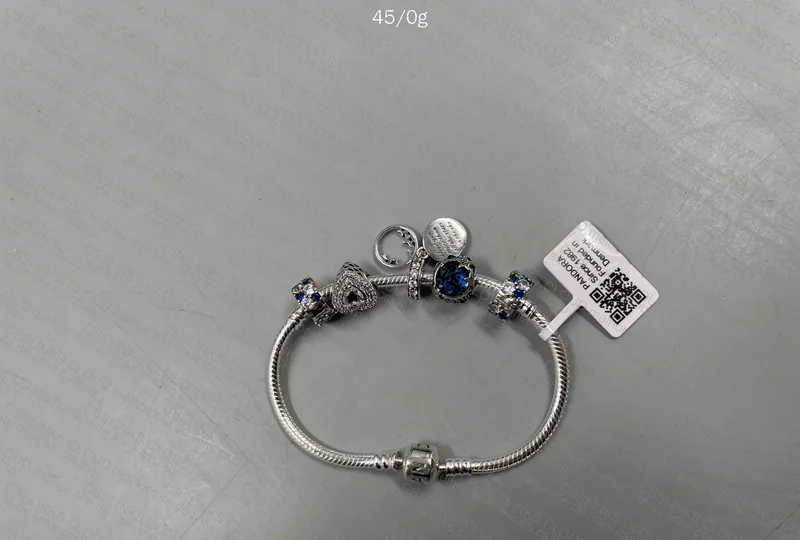 Pandora Charm Bracelet 2