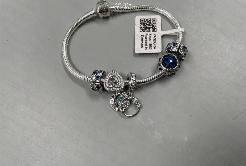 Pandora Charm Bracelet 3