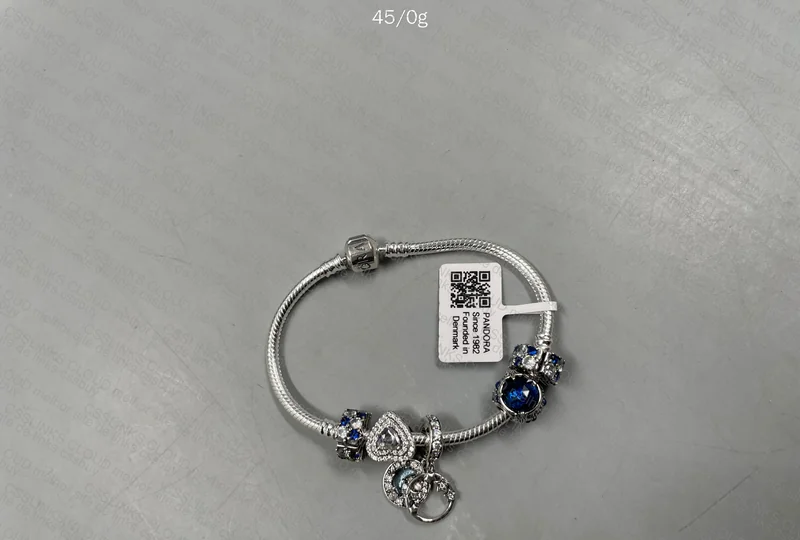 Pandora Charm Bracelet 4