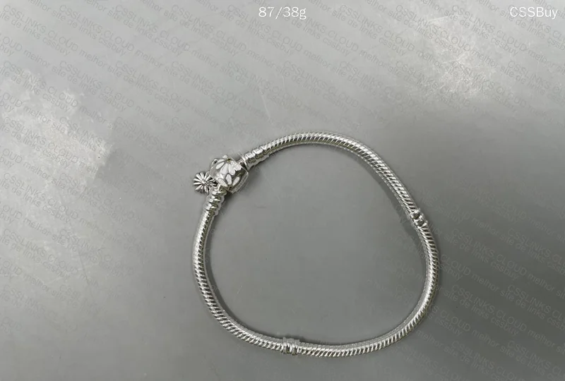 Pandora Charm Bracelet