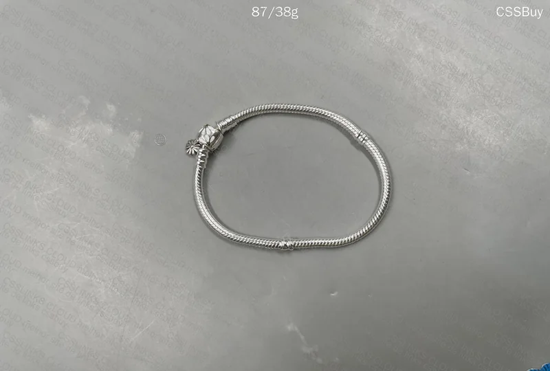 Pandora Charm Bracelet 2