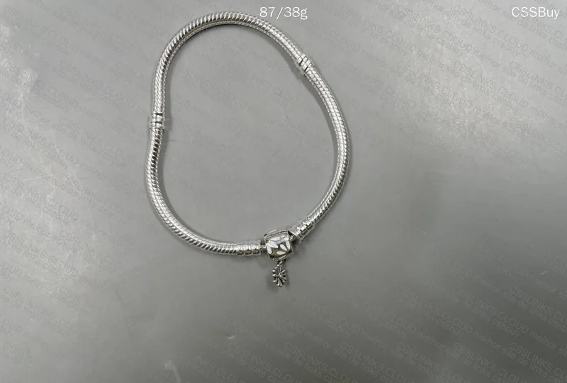 Pandora Charm Bracelet 3