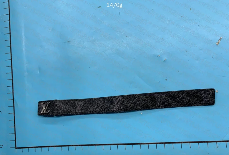 LV Bracelet 2