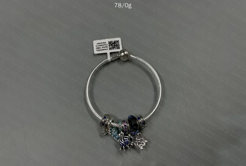 Pandora Bracelet 2