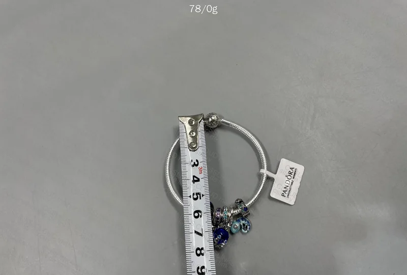 Pandora Bracelet 6