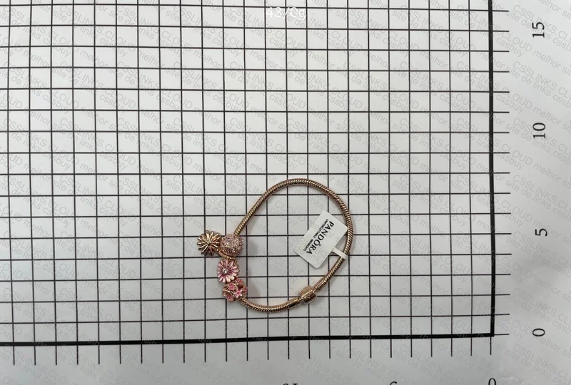Pandora Bracelet