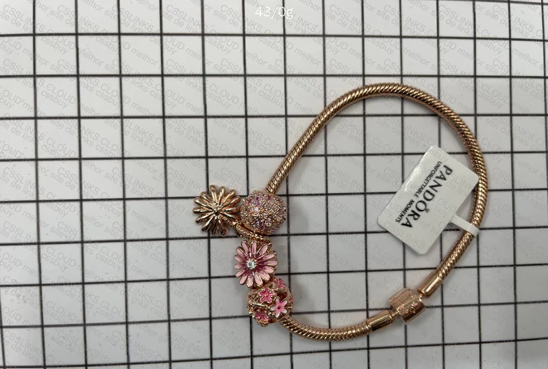 Pandora Bracelet 2