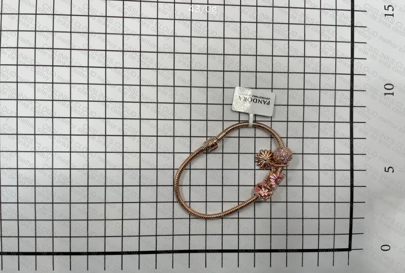 Pandora Bracelet 3