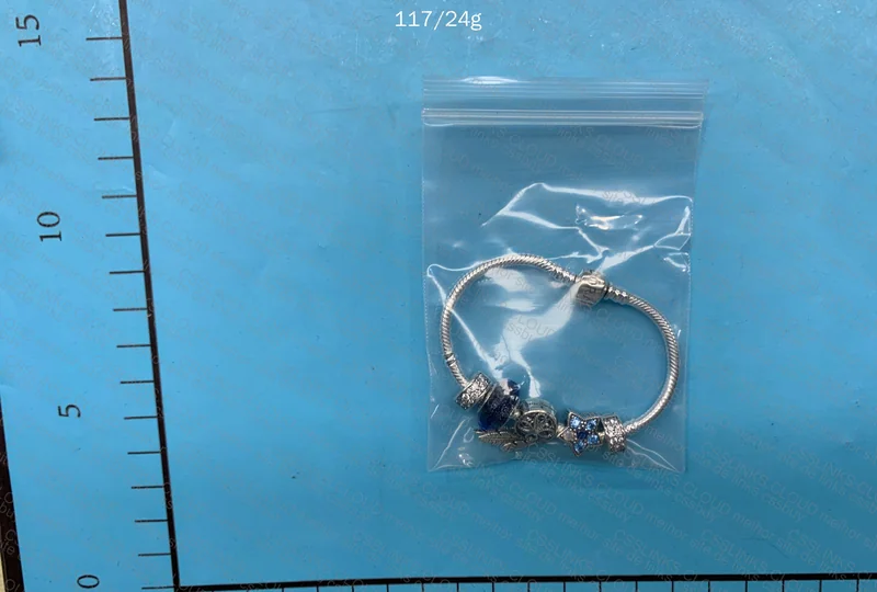 Pandora Bracelet