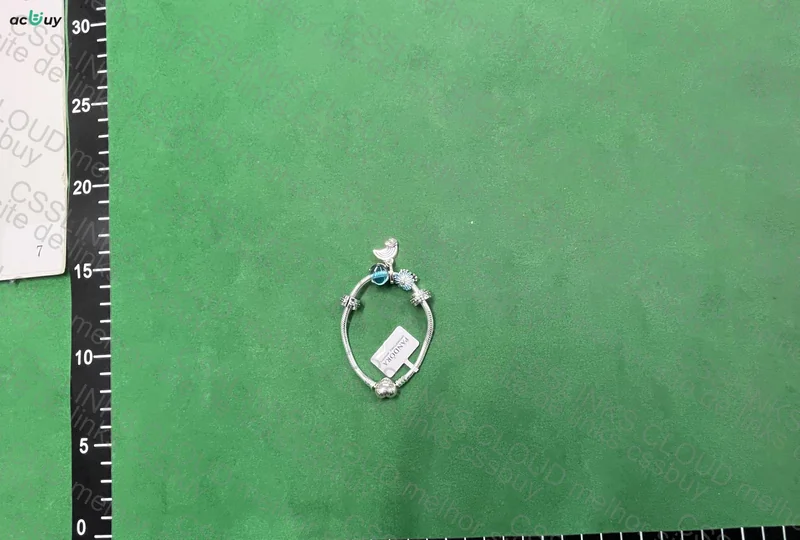 Pandora Bracelet