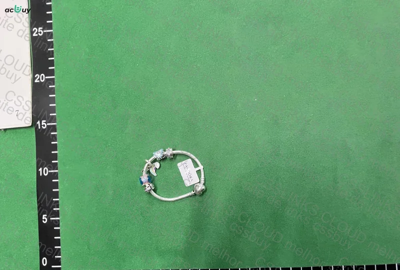 Pandora Bracelet 2