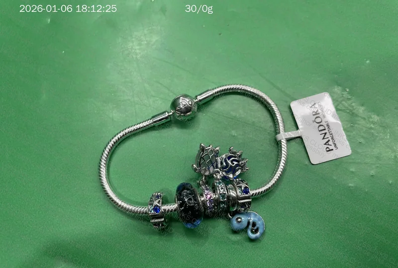Pandora Bracelet 2