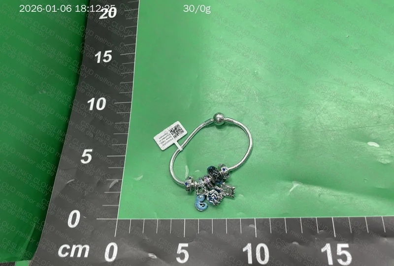 Pandora Bracelet 3