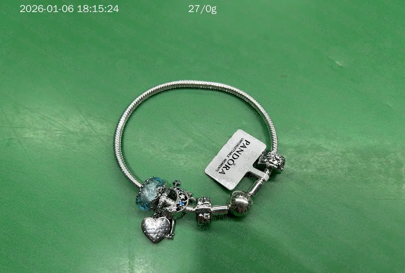 Pandora Bracelet 6