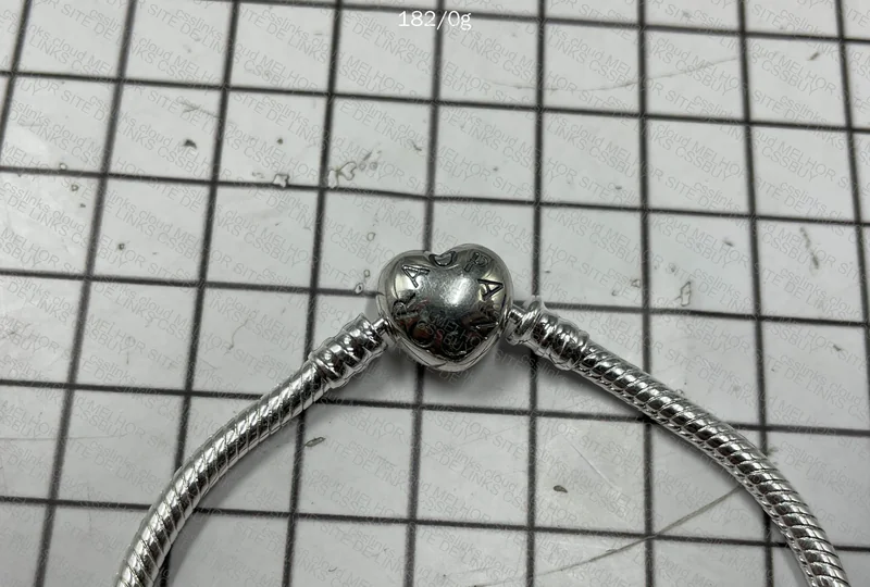 Pandora Bracelet + Charms