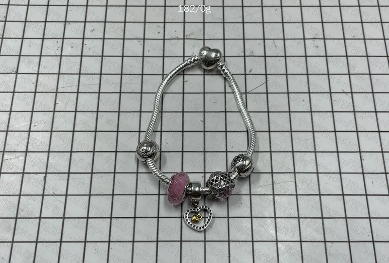 Pandora Bracelet + Charms 2