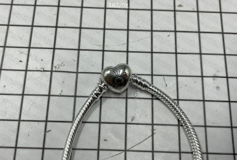 Pandora Bracelet + Charms 4