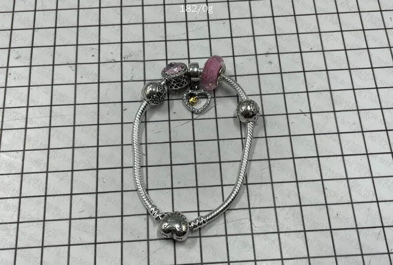 Pandora Bracelet + Charms 5