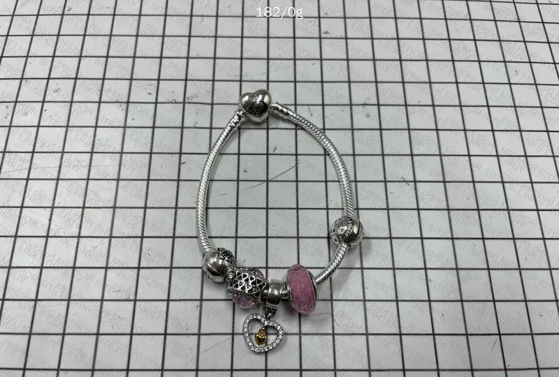 Pandora Bracelet + Charms 6