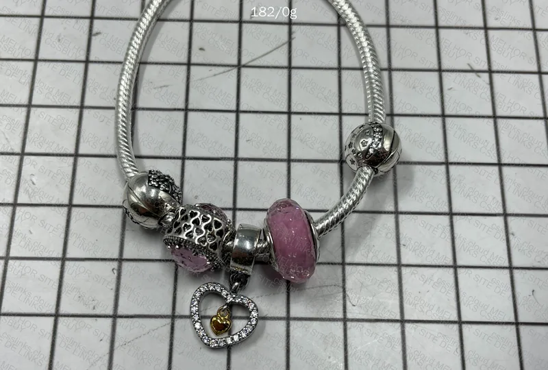 Pandora Bracelet + Charms 7