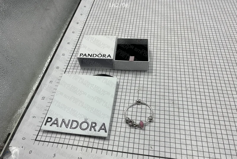 Pandora Bracelet + Charms 8