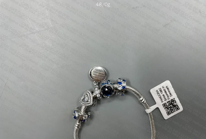 Pandora Bracelet with Charm 2