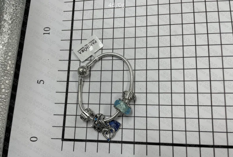 PANDORA BRACELET + PACKAGING