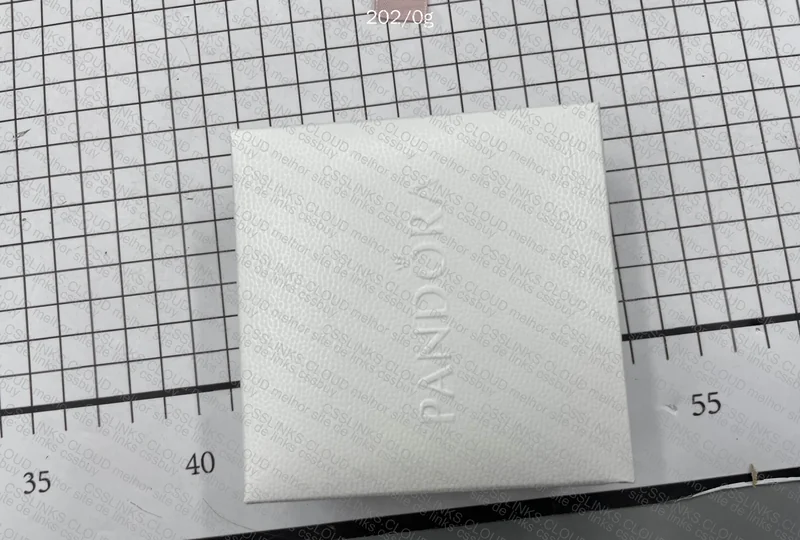 PANDORA BRACELET + PACKAGING 3