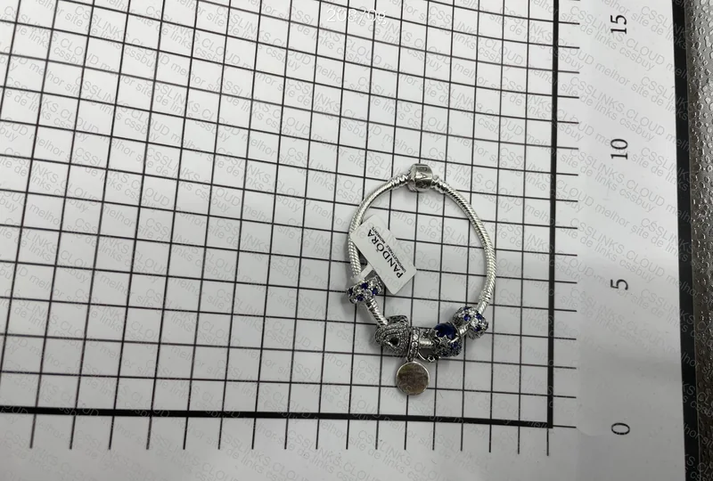 Pandora Bracelet What Do You Think? 3