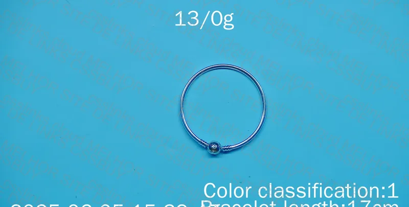 Pandora Rigid Bracelet GL? 6