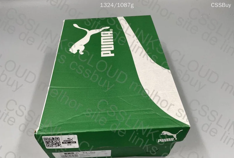 Puma 180 (Is It GL???) 11