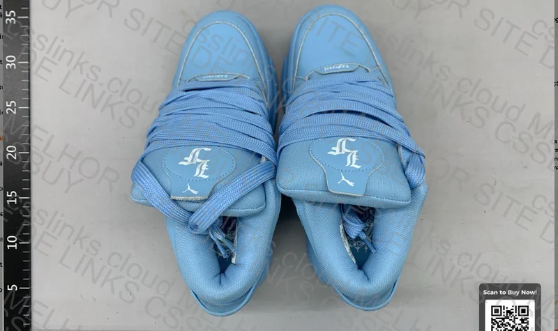 Puma LaFrance 2