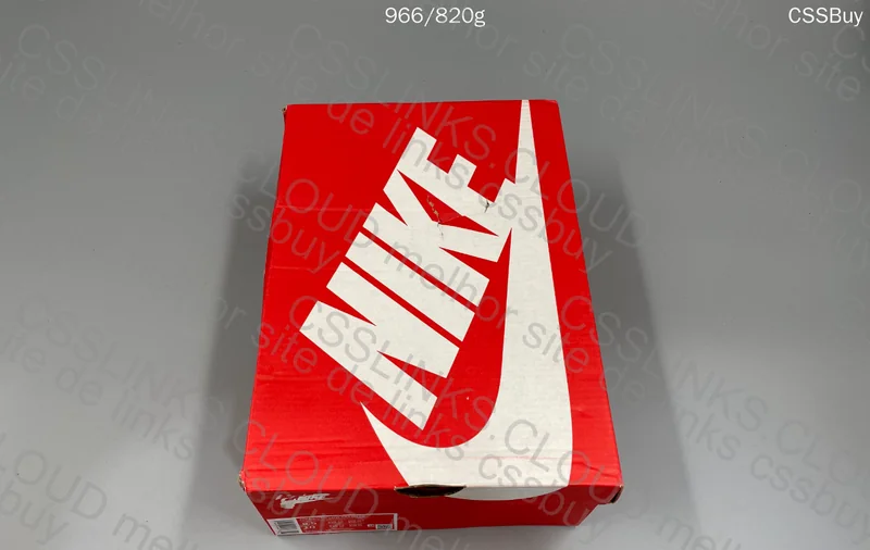 QC Dunk Low 7