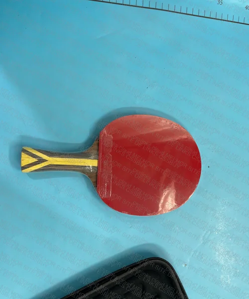 Raquete DHS 9002 4