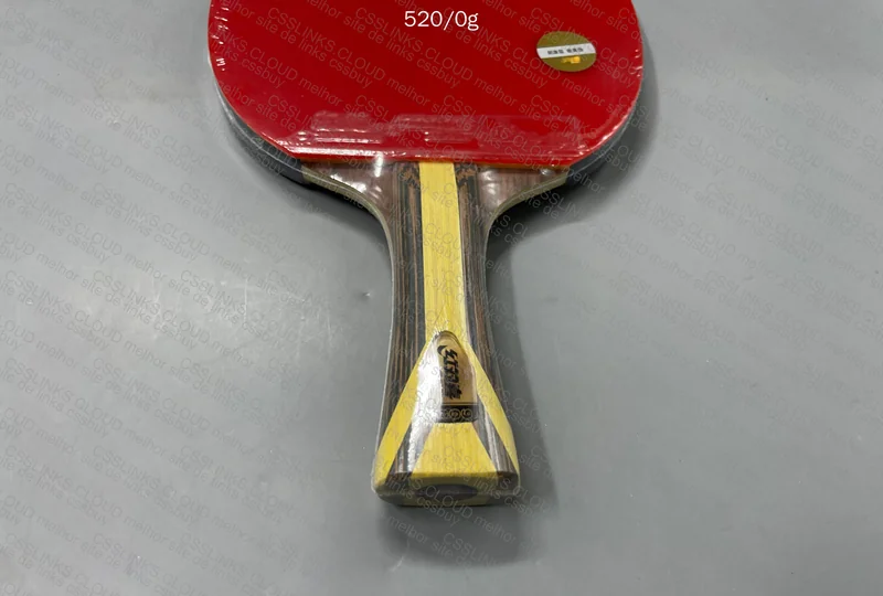 DHS 7002/9002 Table Tennis Racket 5