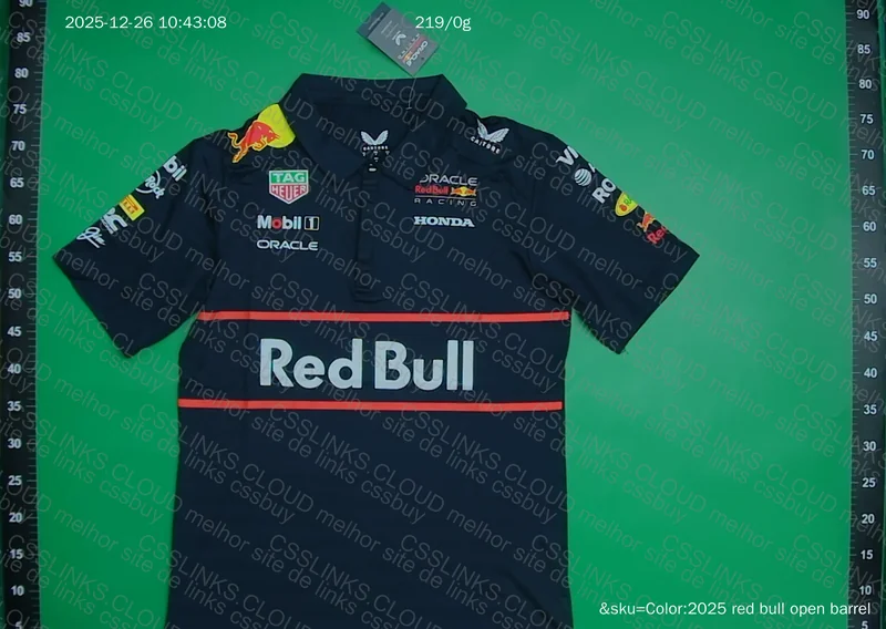 Red Bull F1 2025
