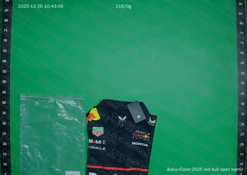 Red Bull F1 2025 2