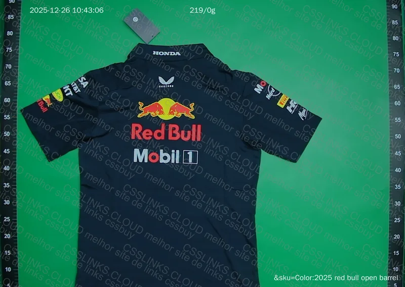 Red Bull F1 2025 3