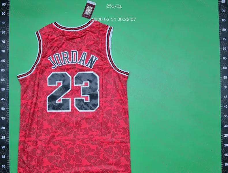 Regata Bulls Bape Jordan 3