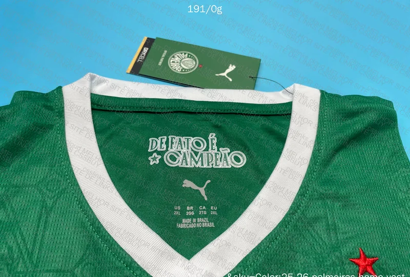 Palmeiras 25/26 Tank Top 4