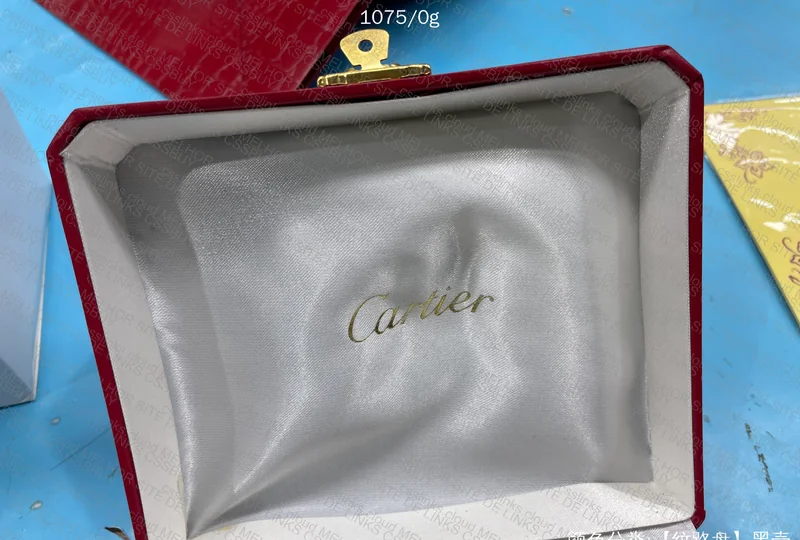 Cartier Santos Watch 3